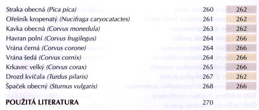 Straka obecná (Pica pica) O řešník kropenatý (N ucifraga caryocatactes) Kavka obecná (Corvus m onedula) H avran p o ln í (Corvus frugilegus) Vrána černá (Corvus corone) V rána šedá (Corvus cornix)