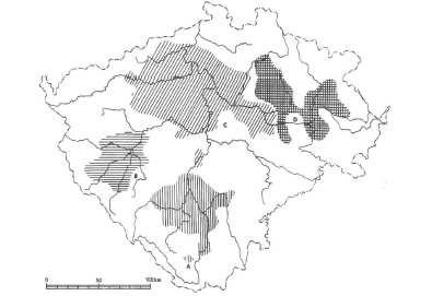 158 Doba halštatská Ha C Ha D1: Ha C 800/750 600/625 př. Kr.; Ha D 1 600 550/530 př. Kr. stř.