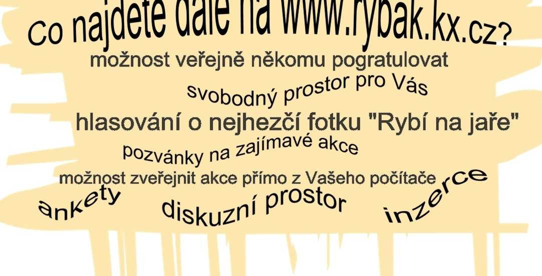 V druhém kroku oslovili Vás - širokou veřejnost - zda byste byli ochotni se angažovat pro věci veřejné a podpořit svou účastí tento nově vznikající projekt.