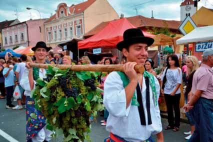 2. pěší turistika, cykloturistika, hipoturistika, lyžařská turistika, církevní turistika, naučné stezky a tematické okruhy, 3. místní malokapacitní a venkovské ubytování, agroturistika, 4.