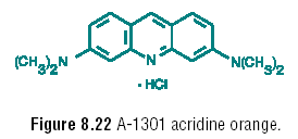 Fluorescenční sondy pro NK Vizualizace a identifikace RNA a DNA Různé principy interakce, např. vmezeření barviva do šroubovice DNA (ethidium bromid) I F [a. u.] 7.