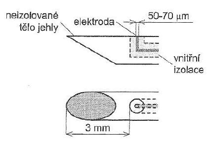 Obrázek 5 Nákres bipolární intramuskulární elektrody s popsanými částmi a rozměry. Čerpáno z [14]. Mikroelektrody měří rozdíl potenciálů na buněčných membránách a umisťují se přímo do buňky.