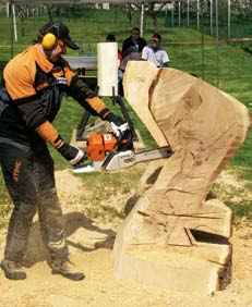 Letošní střízlivý odhad je kolem tisíce. Velký podíl na tom má exhibice Martina Komárka, který předvádí své umění v několika disciplínách stále populárnějšího Timbersportu.