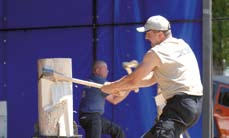 Bronz získal i přes diskvalifikaci ve Springboardu David Síla z Prahy se 45 body (v případě, že by nebyl ve Springboardu diskvalifikován, získal by stejný počet bodů jako vítěz).