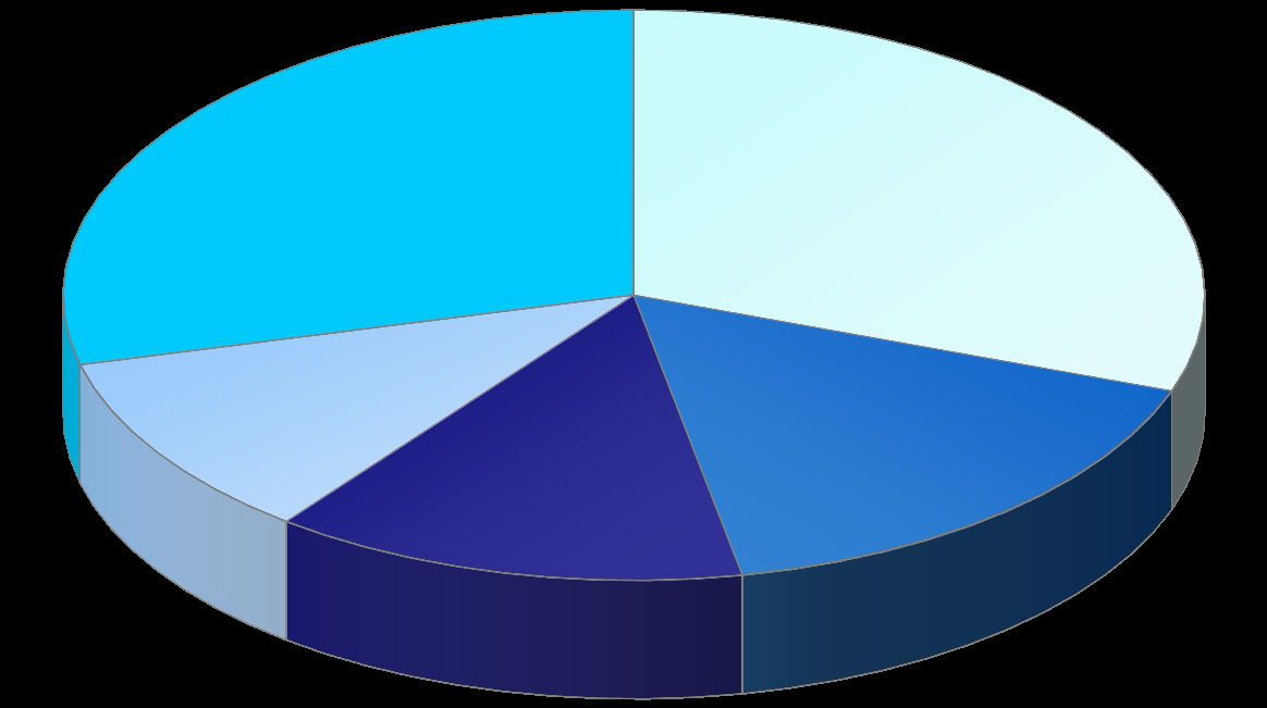 narození 2 500 g + 90,9% 2 000 2 499 g 4,9% 1 500 1 999 g 1,6% 1 000 1 499 g 0,7% do