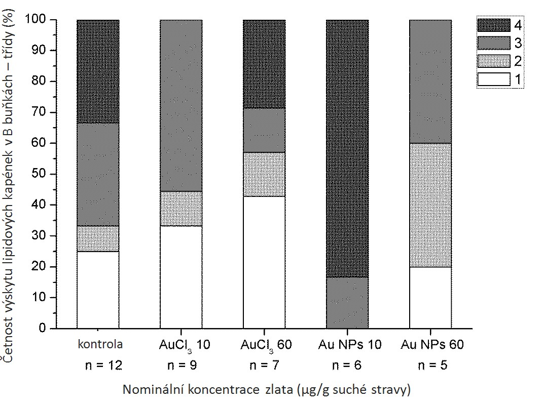 Hodnoty kontroly z prvního i druhého experimentu byly sloučeny; n je počet jedinců v každé testovací skupině, nominální koncentrace zlata jsou uvedeny na ose x, statisticky významný rozdíl je označen