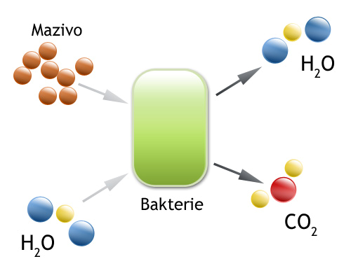 Biologická odbouratelnost Na maziva jsou kladeny nároky na ekologičnost a reakci s přírodním prostředím.