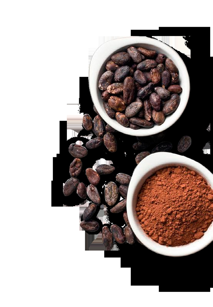 POUŽÍVÁME NEJKVALITNĚJŠÍ BOBY Pro naši čokoládu používáme výhradně odrůdu Criollo, která je jako jediná plně v souladu s naší snahou vyrábět tu nejlepší čokoládu.
