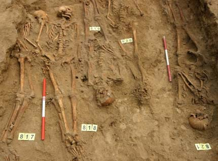 V souvislosti s výkopy pro sázení stromů při východní straně náměstí Svobody proběhl v květnu 2009 záchranný archeologický výzkum. Dokumentováno bylo 9 výkopů označených jako sonda S1 až S9.