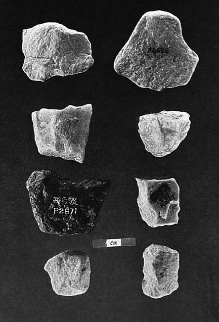 19 Pseudoartefakty ze Si-chou-tu, které připomínají staropaleolitické nástroje: jádra, úštěpy, drásadla. 20 Pseudoartefakty ze Si-chou-tu, které se podobají staropaleolitickým sekáčům.