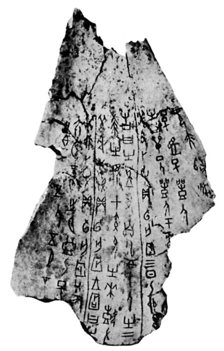 34 Věštební kost s nápisy z období dynastie Šang pocházející z oblasti An-jangu. Nápisy jsou rozděleny do tří polí.