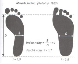 Metoda indexu (Obrázek 18) index je počítán poměrem mezi délkou otisku nohy bez prstů a šířky nohy na úrovni V. metatarsu. Šířka nohy násobena deseti se dělí délkou nohy.