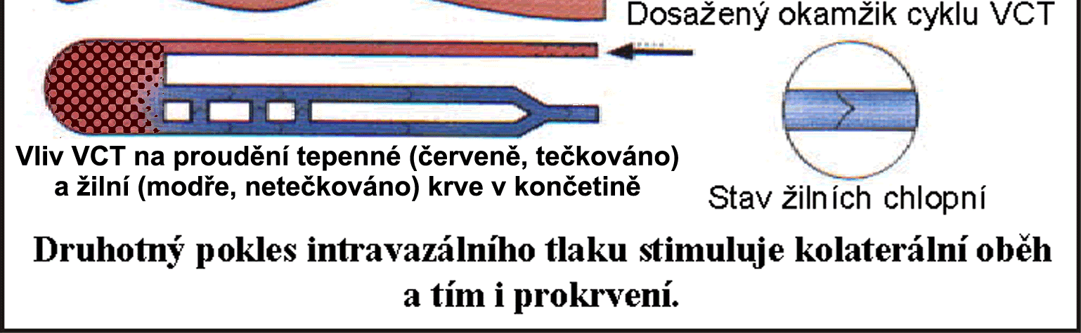 elasticity erytrocytů, a tak dále podporují výživu, prokysličení a výměnu metabolitů.