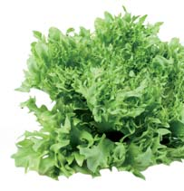 uzeniny