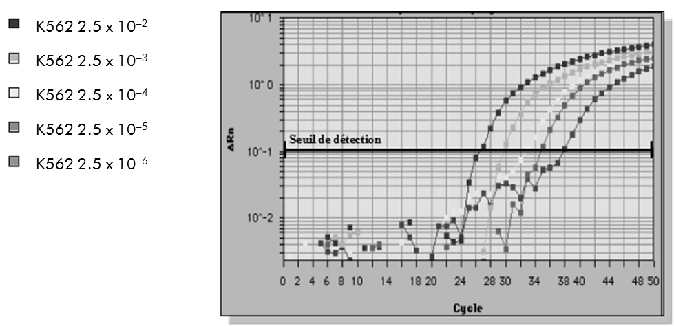 Obrázek 11. Vynesení amplifikací ředění 2,5 x 10-2 (5 ng), 2,5 x 10-3 (0,5 ng) a 2,5 x -4-4 (0,05 ng), 2,5 x 10-5 (0,005 ng) a 2,5 x 10-6 (0,0005 ng) celkové RNA K562 v negativní celkové RNA MV4-11.