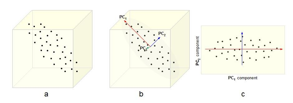 PCA PRINCIP VÝPOČTU (Principal Component Analysis,