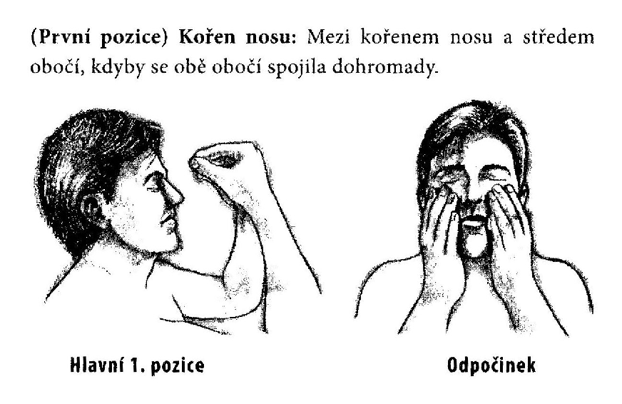 Čtyři léčivá centra, čtyři fyzické systémy: Kořen nosu hypofýza, velmi často označována jako hlavní žláza, protože řídí