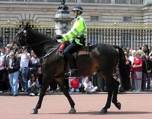 Celý přehled počtu pracovníků a jednotlivých složek pro rok 2010 Regular Police Officers: