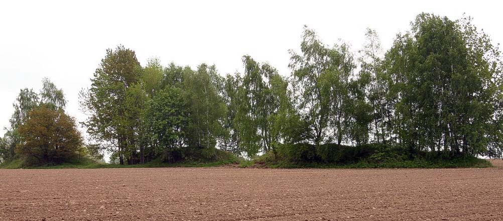 Základní charakteristika montánních archeologických objektů V terénu (zalesněném) se dobře projevují,