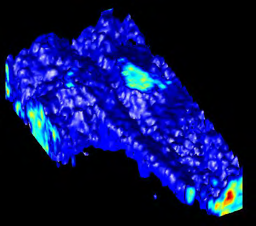 [ns] Sada snímků mezenchymálních buněk byla pořízena pomocí skenovacího módu xyz za použití objektivu HC PL APO CS2 63x/1.40 OIL.