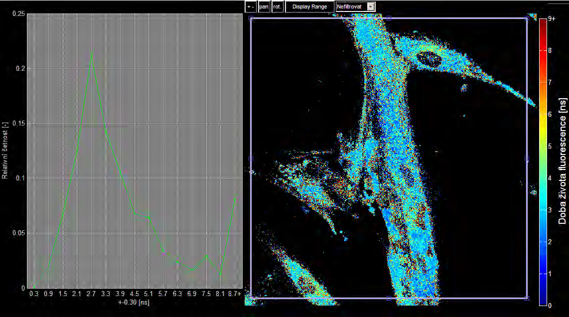 Nejkratší doba života fluorescence, kterou je možné tímto způsobem analyzovat, záleží především na časovém kroku. Čím jemnější je krok, tím kratší dobu života fluorescence je možné analyzovat.