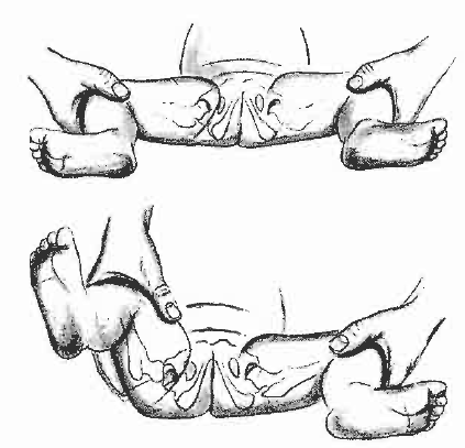 příznak (Sosna et al.