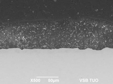 Skenovaci elektronová analýza Pomocí elektronového mikroskopu JEOL JSM 649 OLV byla studována zejména sedimentace antikorozního pigmentu nátěrovou hmotou. sedimentace pigmentu Obr. 9 vzorek AL 2 Obr.