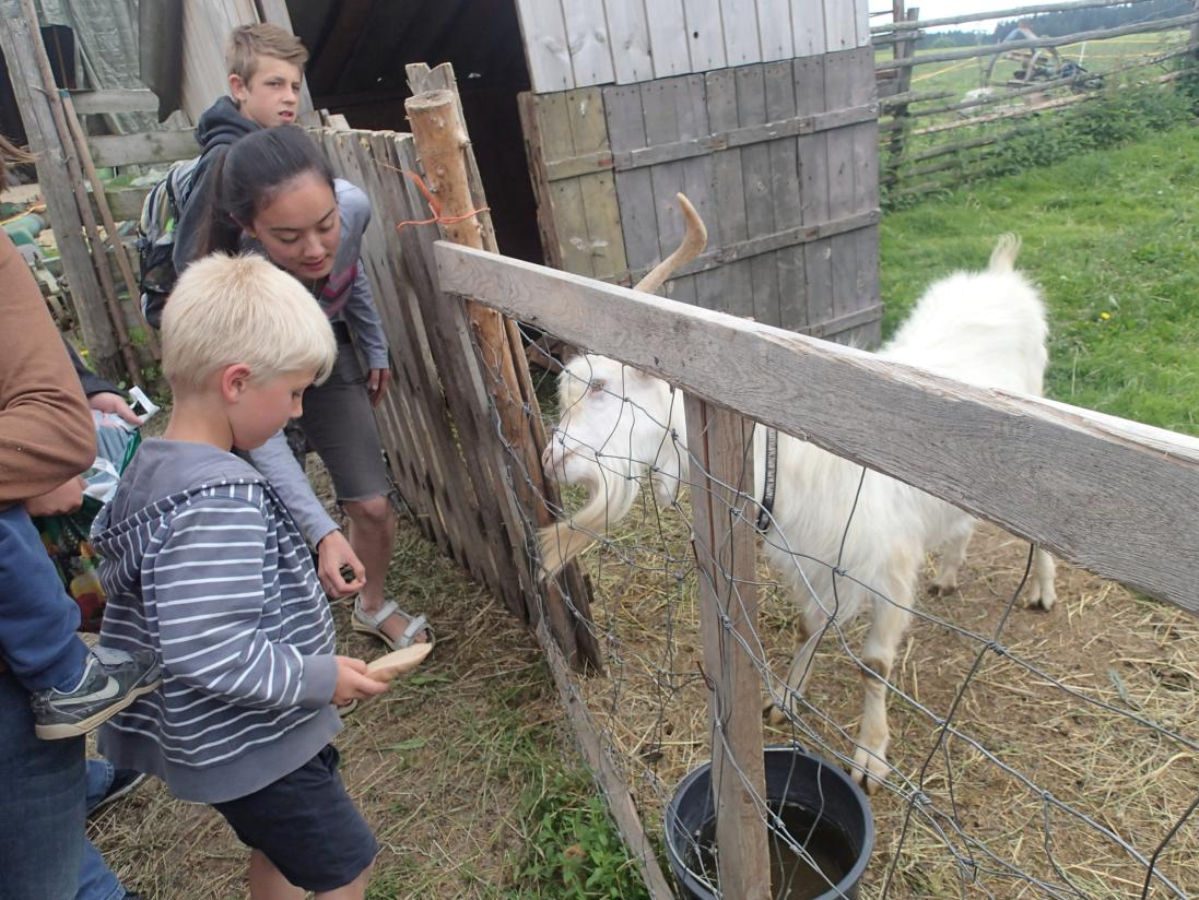 Vychovatelka - etoped, nahrazující v tomto domově matku, má vysokoškolské pedagogické vzdělání.