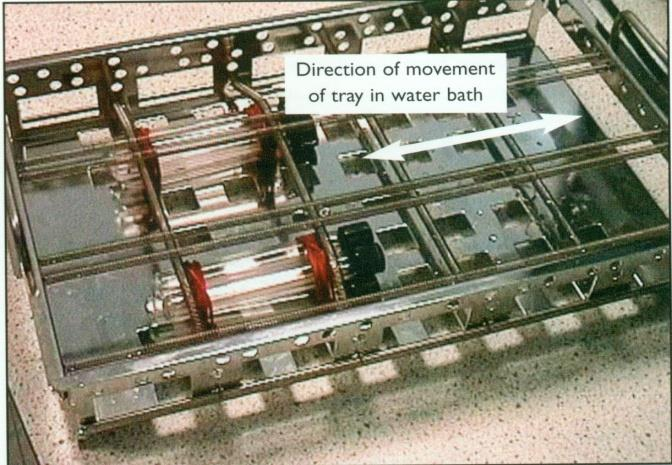 Vniklá suspenze se nechá 10 minut míchat na laboratorní třepačce. Potom se odstředí 10 minut při 3000 rpm. 5.1.3 Do každé zkumavky přidejte 4,0 ml pankreatické α-amylasy (10 mg/ml) obsahující AMG (3 U/ml).