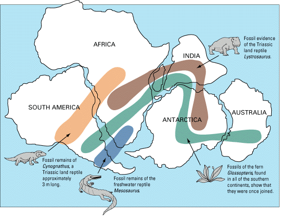 Obr. 3: Výskyty fosílií dokládající Wegenerovu