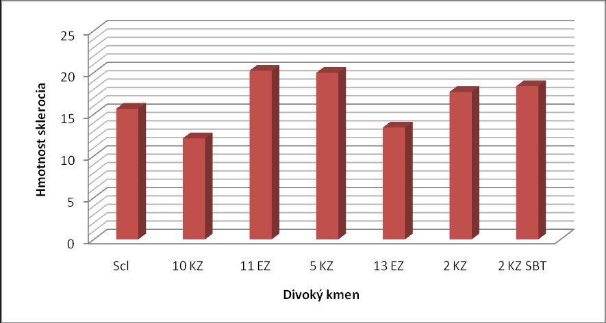 Graf č.19: Průměrná hmotnost 1 sklerocia v 1 Petriho misce [mg]. C) Ověření parazitace sklerocií S. sclerotiorum Tabulka č.