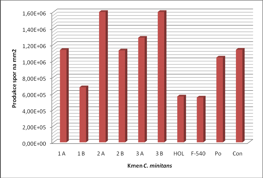 Závěr: Z výsledků je patrné, že největší produkce pyknospor na 1 mm 2 byl zaznamenán opět u kmene 3B a u kmene 1A. Produkované množství dosahovalo hodnotu 1,60E+06 spor.