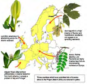 European Botanic Gardens Consortium Sdílení informací a strategie týkající se držení a šíření potenciálně invazních druhů rostlina v botanických zahradách Hotov seznam invazních či potenciálně