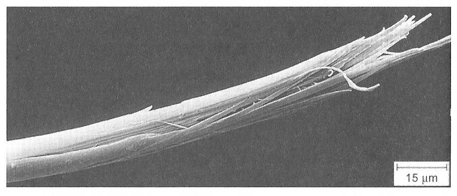 UTB ve Zlíně, Fakulta technologická 41 Obr. 16. Řez aramidovým vláknem se silným roztřepením v místě lomu (snímek pořízen rastrovacím elektronovým mikroskopem) [1] Obr. 17.