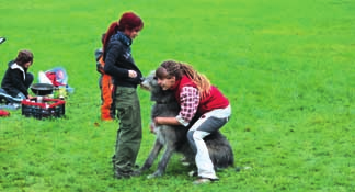 POVAHOVÉ ZKOU KY TERAPEUTICK CH PSÒ V pátek 28. 10. 2016 opût probûhly na na em fotbalovém hfii ti povahové zkou ky terapeutick ch psû Spolku Pes A âlovûk.