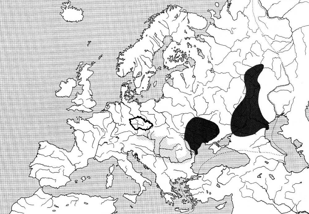 Romanogobio albipinnatus hrouzek běloploutvý Romanogobio uranoscopus hrouzek dlouhovousý R.a.vladykovi 1965-2005 R.