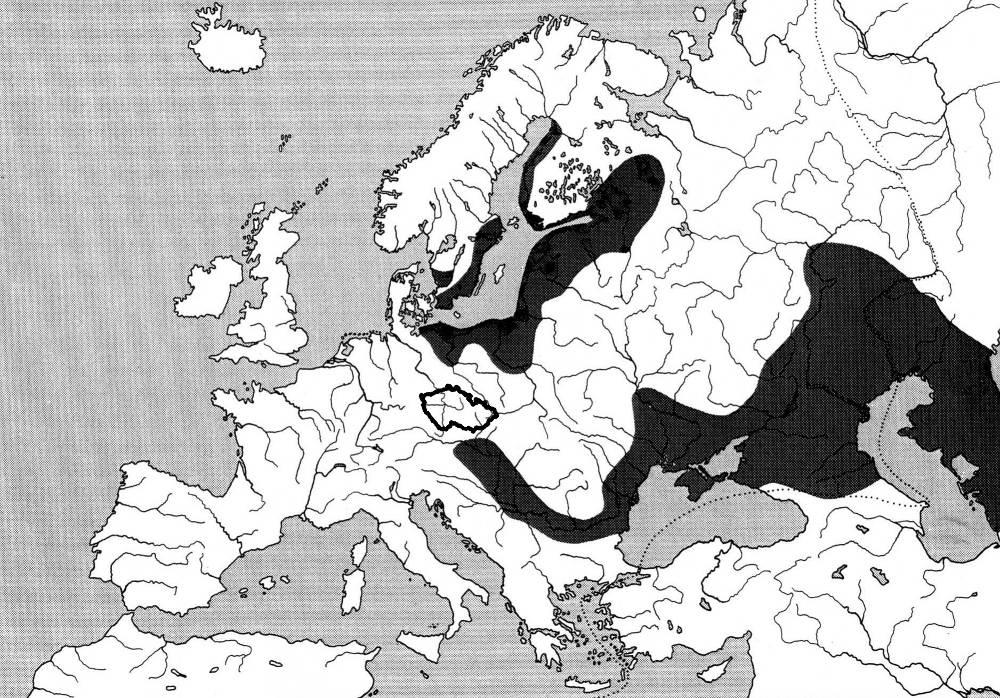 1990-2005 Pelecus cultratus ostrucha křivočará ČR - od 1990 v dolní