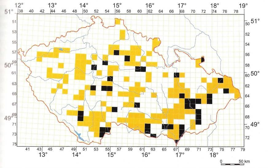 Pseudorasbora parva střevlička východní Rhodeus amarus hořavka duhová 1955-2005