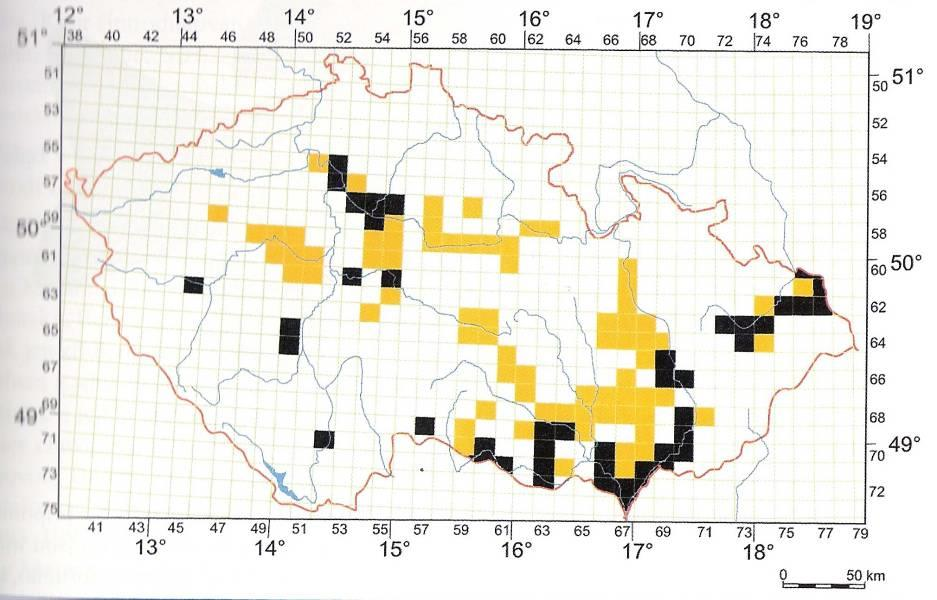 jiných ryb; invazní druh odolná k parazitům, mnohodávkový výtěr, hlídání, rychlé