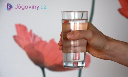 chlór, do pitné vody se přidává záměrně. Chlór se používá k dezinfekci vody, aby byla mikrobiologicky nezávadná.