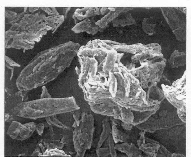 Avicel PH 102 Částice tohoto Avicelu mají velikost 100 µm a obsah vlhkosti je 5 % (obr. č. 2). Pokud jej hodnotíme z hlediska lisovatelnosti, neliší se od Avicelu PH 101.