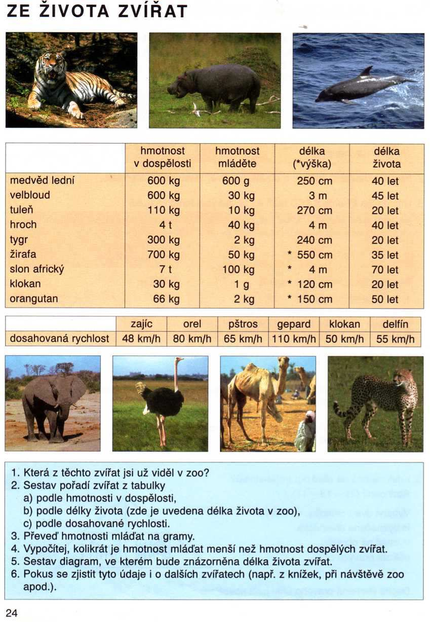 MATEMATIKA str. 24 str. 27, cv. 6. Po návštěvě ZOO si Jirka zapamatoval: slon váží asi tři a půl tuny, statný medvěd má asi 400 kg.