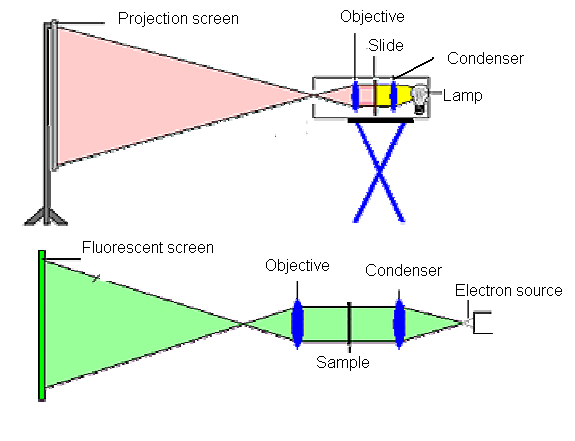 Konstrukce Příprava vzorků Aplikace Transmisní elektronová