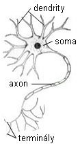 1 Úvod Neuronové sítě jsou jedním z výpočetních modelů používaných v umělé inteligenci.