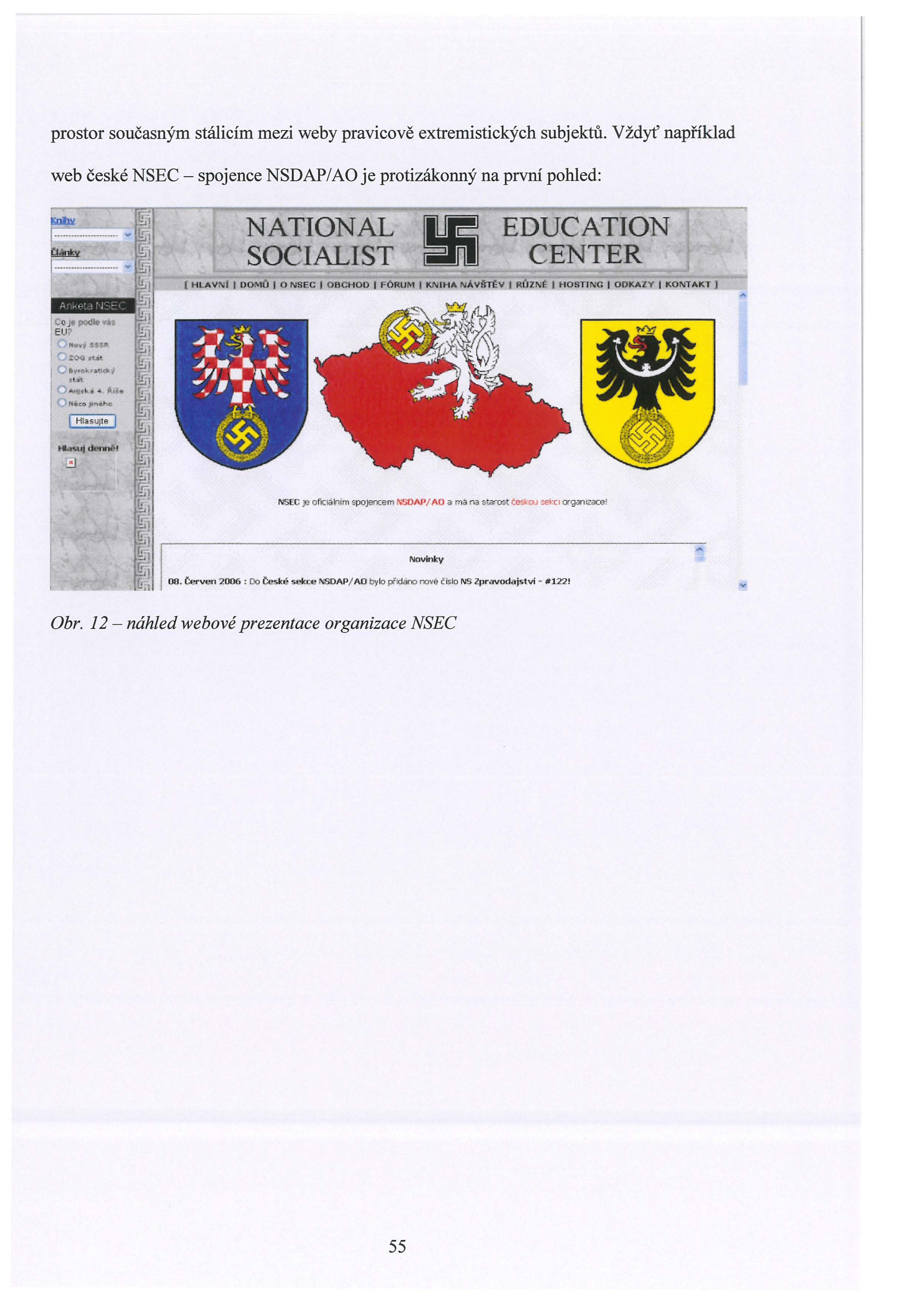 prostor současným stálicím mezi weby pravicově extremistických subjektů. Vždyť například web české NSEC - spojence NSDAP/AO je protizákonný na první pohled: NATIONAL SOCIALIST!