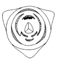 Obrázek 8: Květní diagram čeledi Costaceae (Kress, 1990).