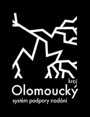 Krajské sítě podpory nadání Krajská koordinační skupina krajský koordinátor SPN (NIDV) psychologové a speciální pedagogové (garantuje NUV) koordinátoři pro oblast soutěží (garantuje NIDV ve