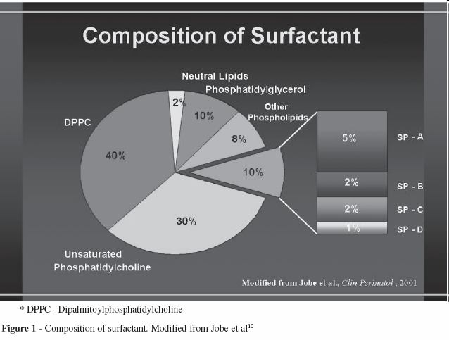 Složení surfaktantu Pinheiro Ribeiro Lyra, P.