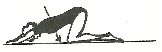 Obr. 41. Protahování m. pectoralis major [HOŠKOVÁ, 2007, s. 81] Svaly v oblasti krční páteře (horní část m. trapezius, m. sternocleidomastoideus, m.
