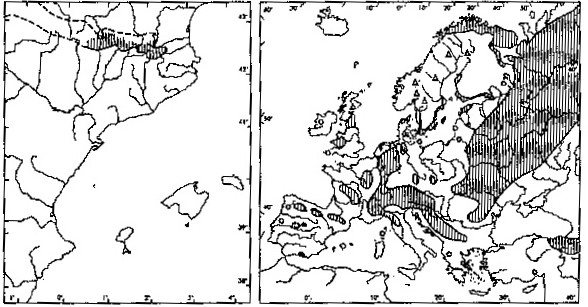 Příloha 9: Vlevo: Rozšíření Allium schoenoprasum v Pyrenejích; Vpravo: Rozšíření Allium schoenoprasum v Evropě (Bolòs & Vigo